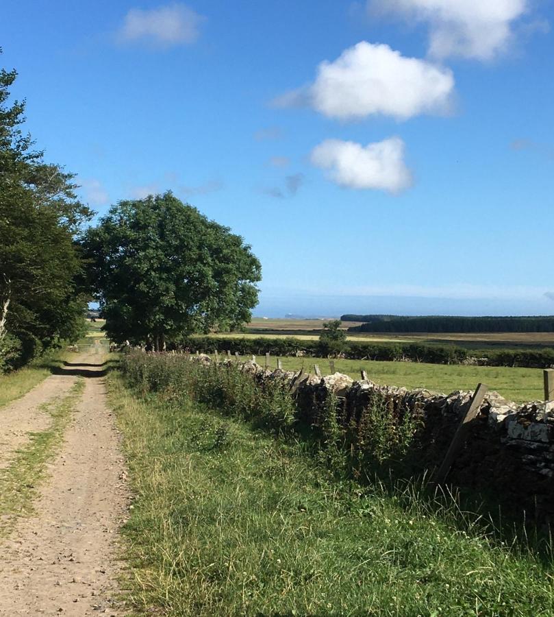 Caithness View Luxury Farm Lodges And Bbq Huts Wick  Zewnętrze zdjęcie