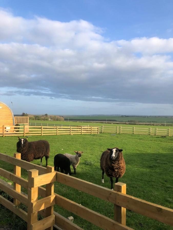 Caithness View Luxury Farm Lodges And Bbq Huts Wick  Zewnętrze zdjęcie